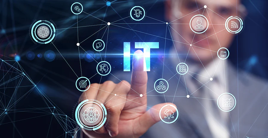 Software Development and IT consulting services